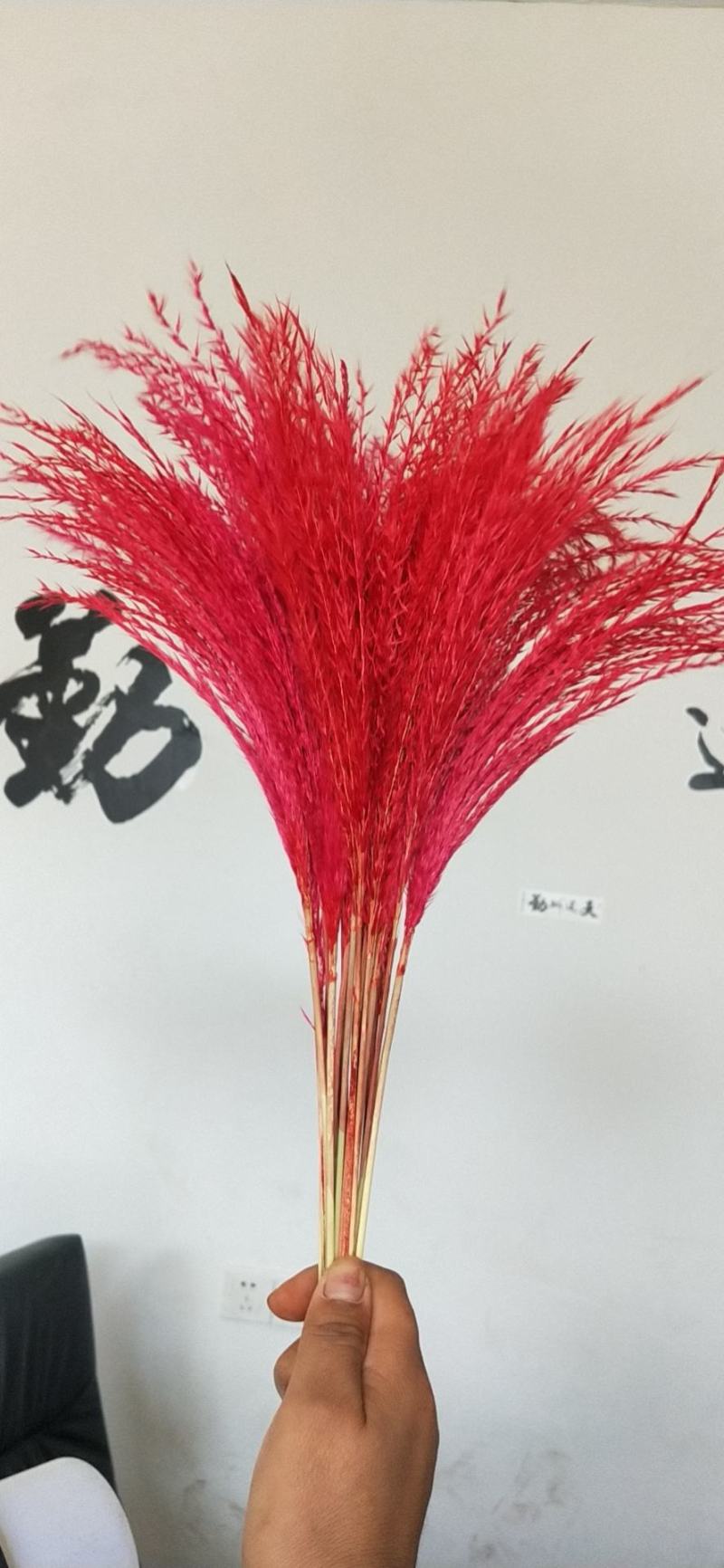 天然芦苇干花永生花束橱窗装饰摆件芦苇花拂尘花麦穗干花婚庆