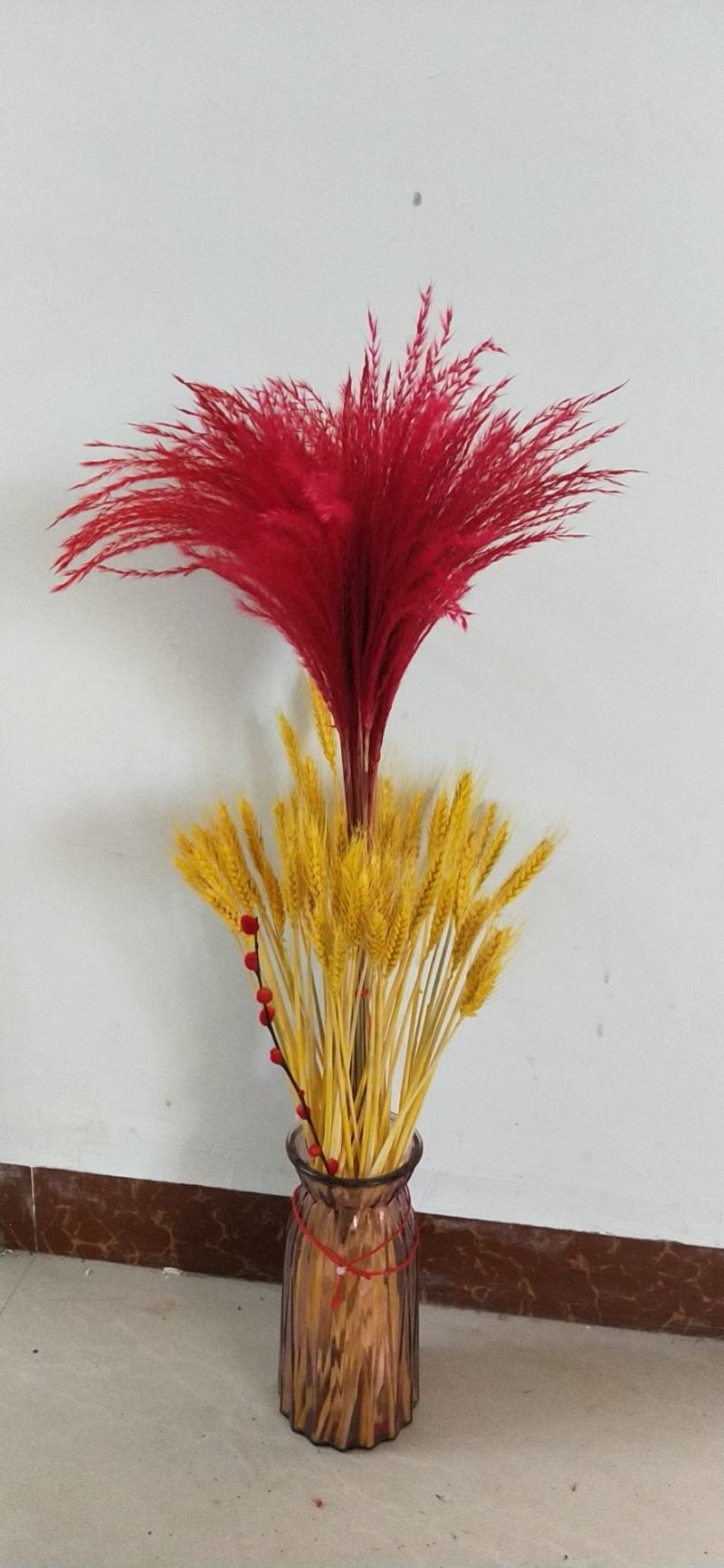 天然芦苇干花永生花束橱窗装饰摆件芦苇花拂尘花麦穗干花婚庆
