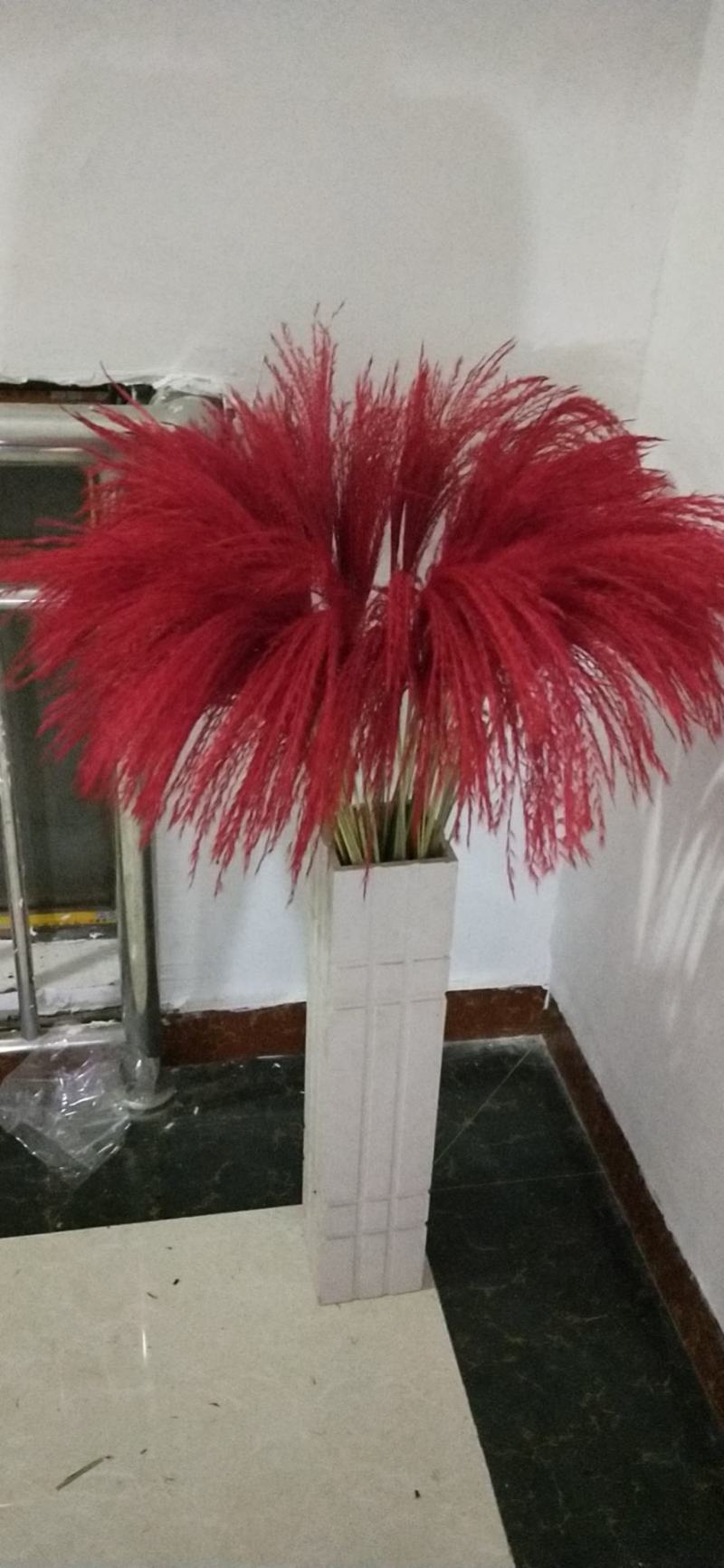 天然芦苇干花永生花束橱窗装饰摆件芦苇花拂尘花麦穗干花婚庆
