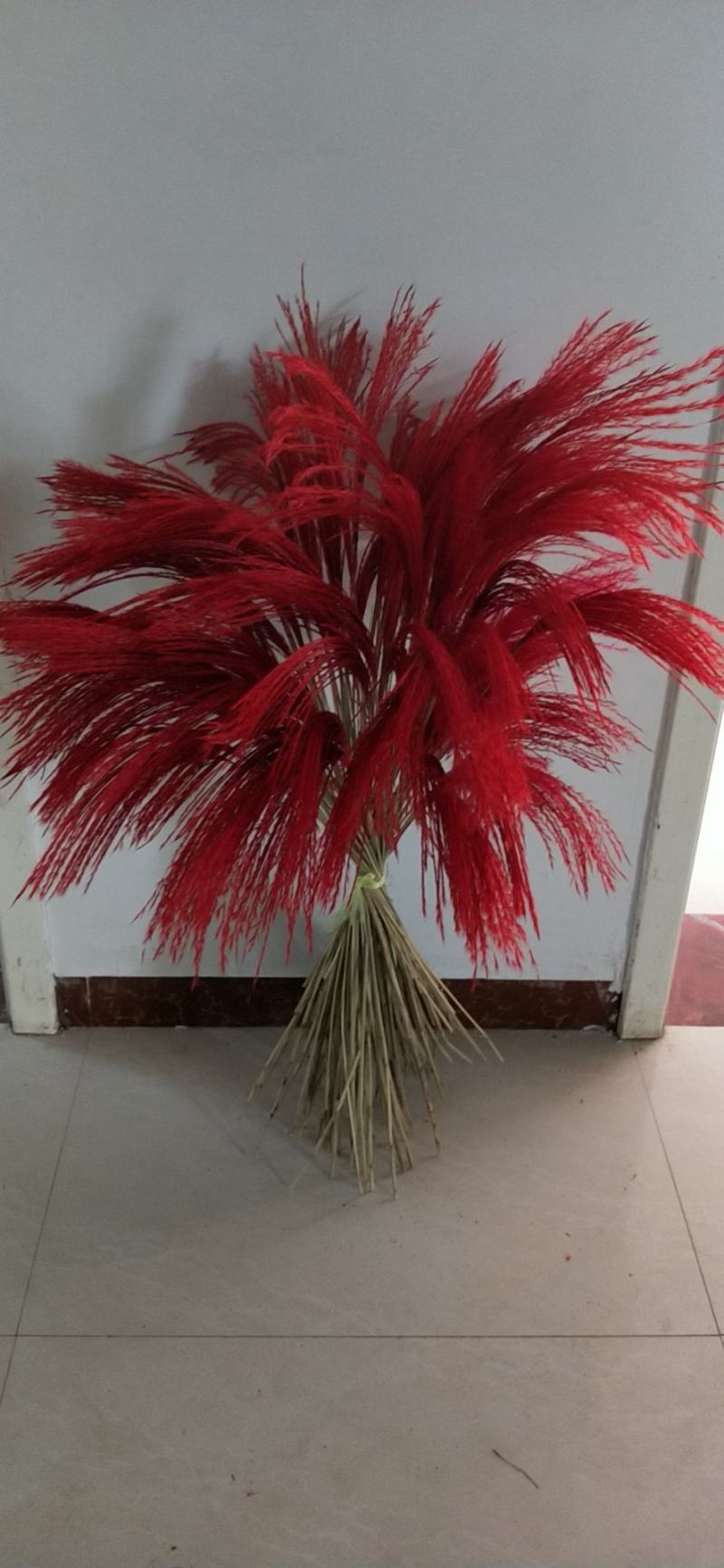 天然芦苇干花永生花束橱窗装饰摆件芦苇花拂尘花麦穗干花婚庆