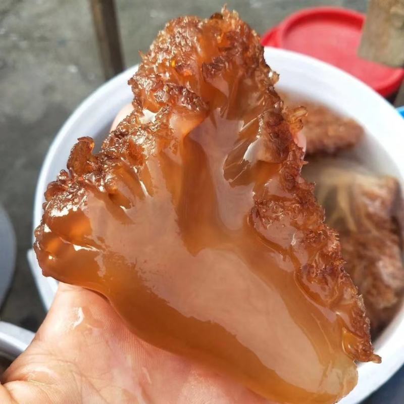 海蜇头，大脚红头，质量超级好，支持一件代发对接各地客商