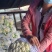 精品有机花菜大量供应中，需要的请联系，欢迎光临