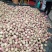 生态沂蒙山优质农产品沂蒙山优质冬桃现已上市欢迎各地客商