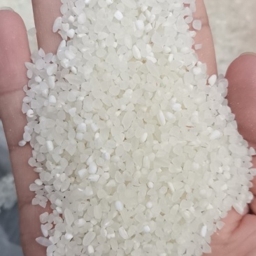 宁夏粳米中大碎，质量好，欢迎联系