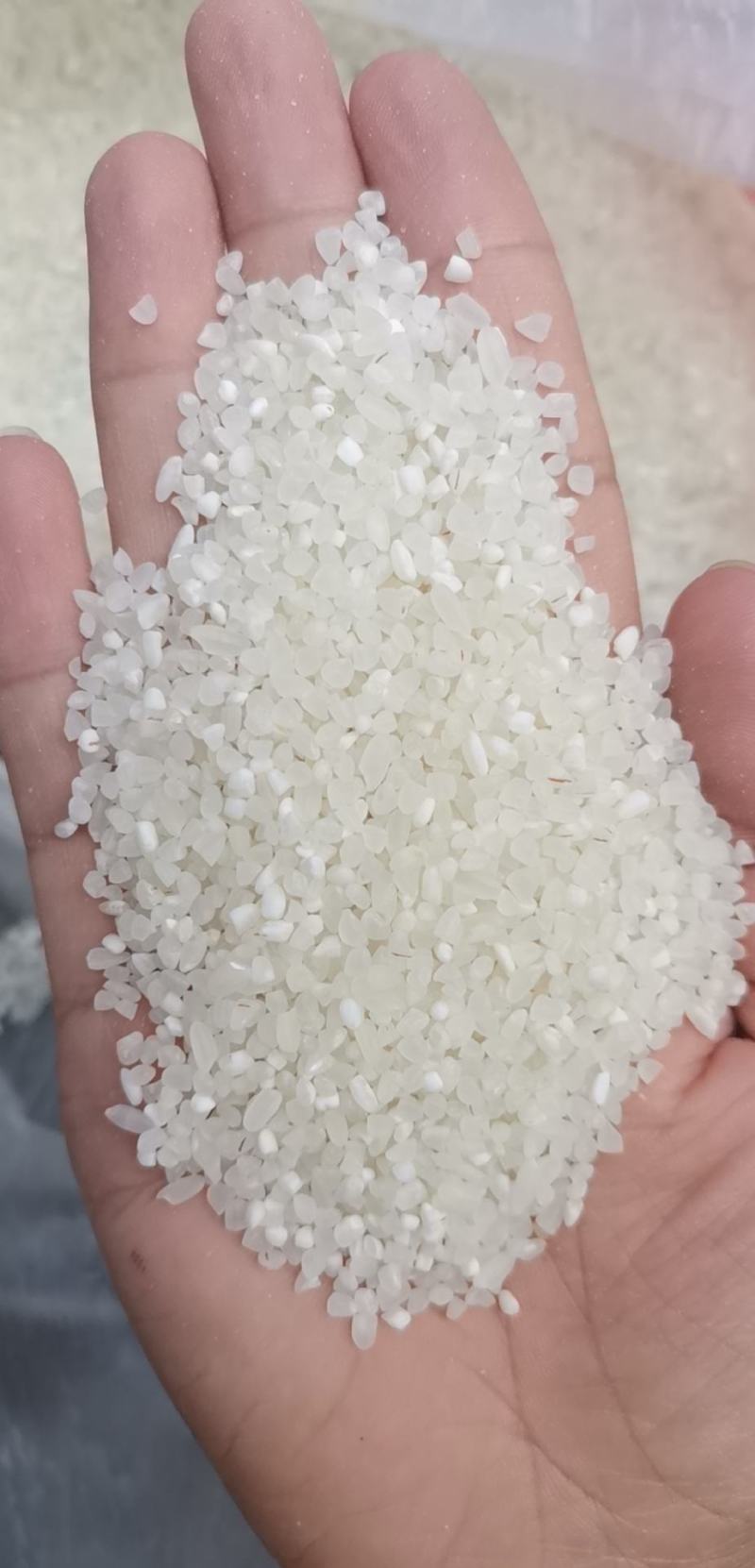 宁夏粳米中大碎，质量好，欢迎联系