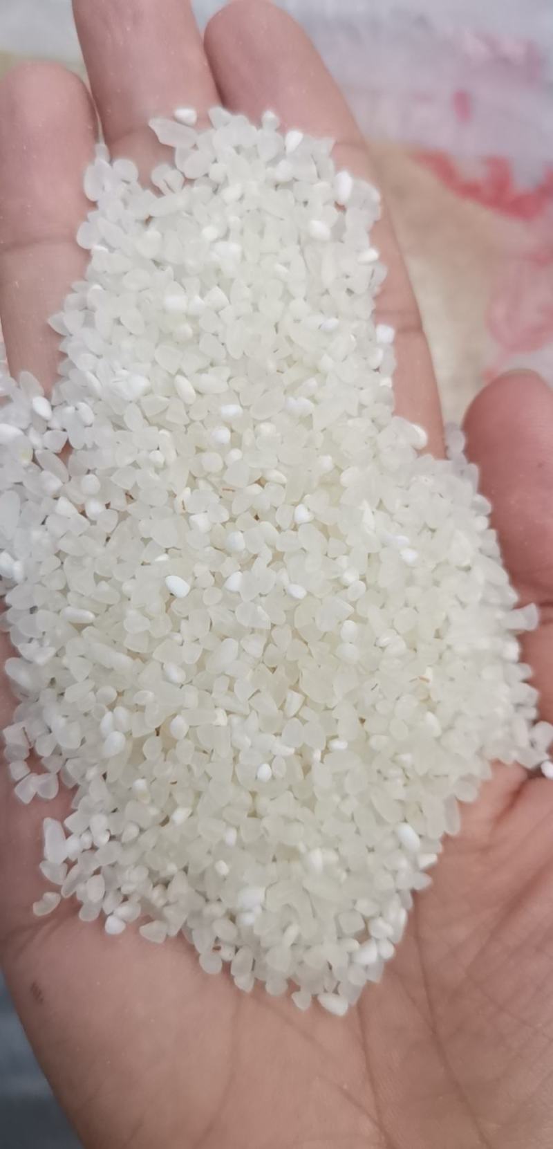 宁夏粳米中大碎，质量好，欢迎联系