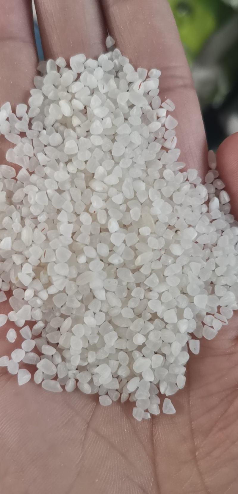 宁夏粳米中大碎，质量好，欢迎联系