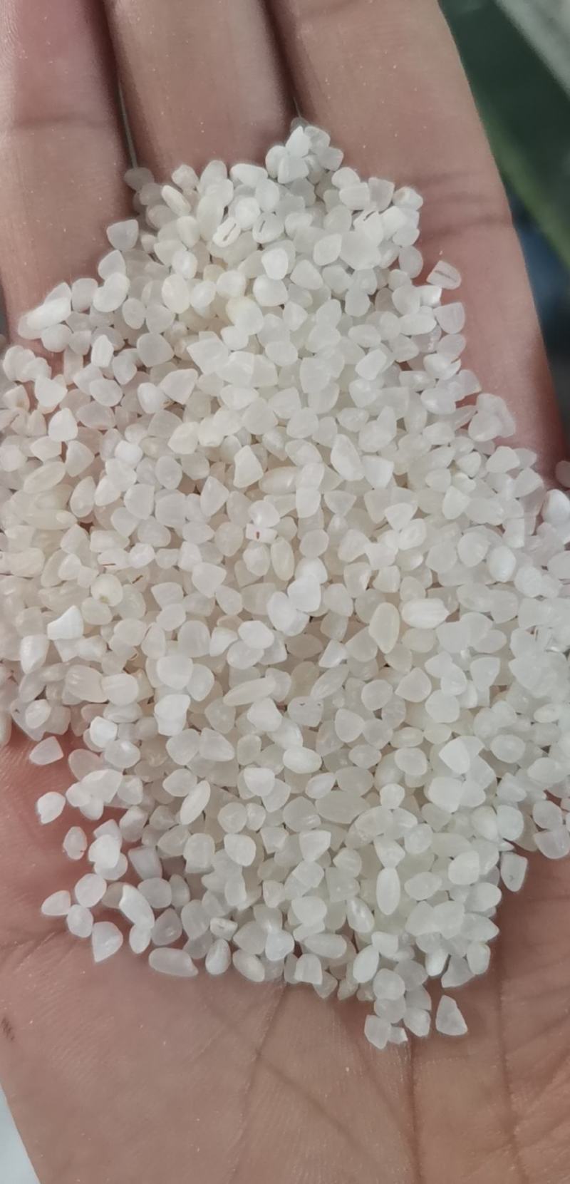 宁夏粳米中大碎，质量好，欢迎联系
