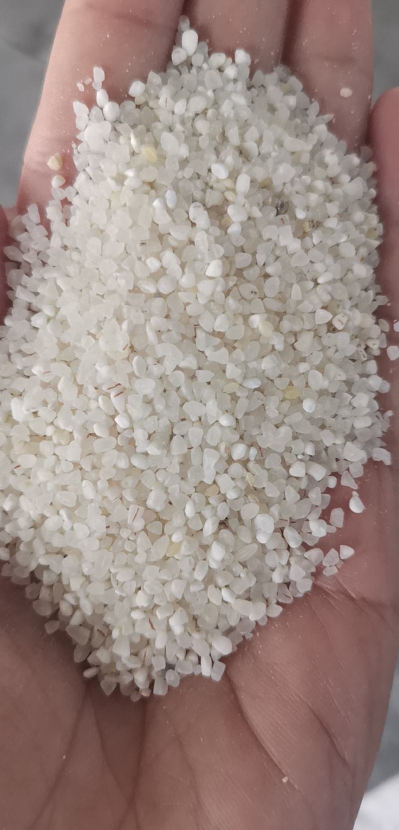 宁夏粳米中大碎，质量好，欢迎联系