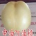 2公分桃树苗，3公分桃树苗，5公分桃树苗