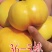 2公分桃树苗，3公分桃树苗，5公分桃树苗