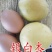 杏树苗，专业种植，脱毒处理，成活率95%以上，死苗免费补