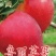 苹果苗，脱毒处理，根系发达，99%以上成活率，死苗免费补