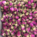 玫瑰花平阴玫瑰花茶无硫新货