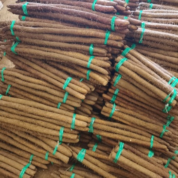 新铁棍山药棒药紫药双胞产地发货代发电商