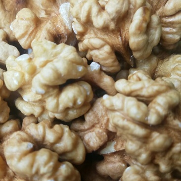 本地核桃仁，新疆核桃仁，各种规格的都有，欢迎各位老板选够