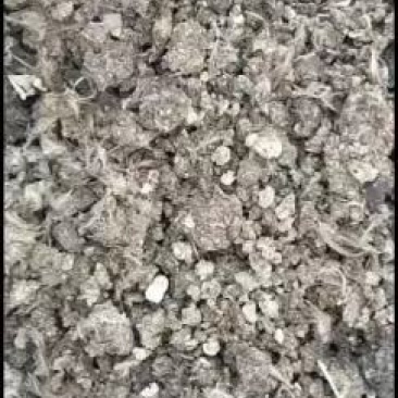 鹌鹑粪自然晾晒禽畜粪便
