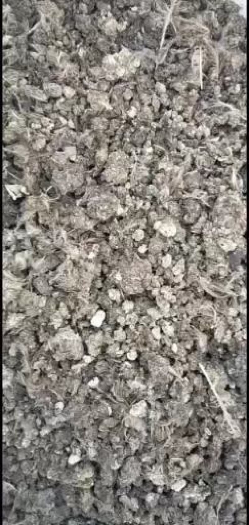 鹌鹑粪自然晾晒禽畜粪便