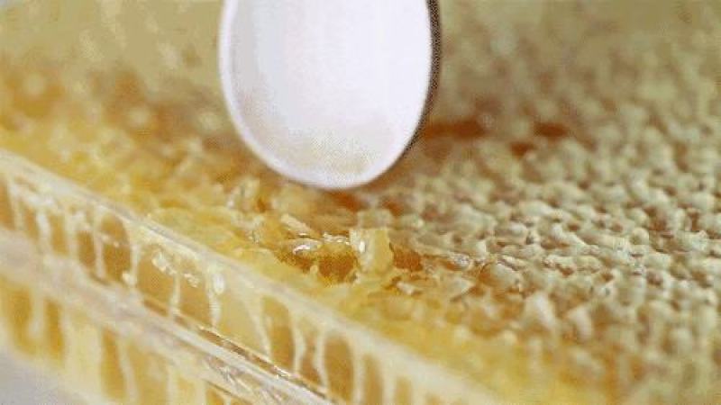 土蜂蜜自产自销2斤装和5斤装