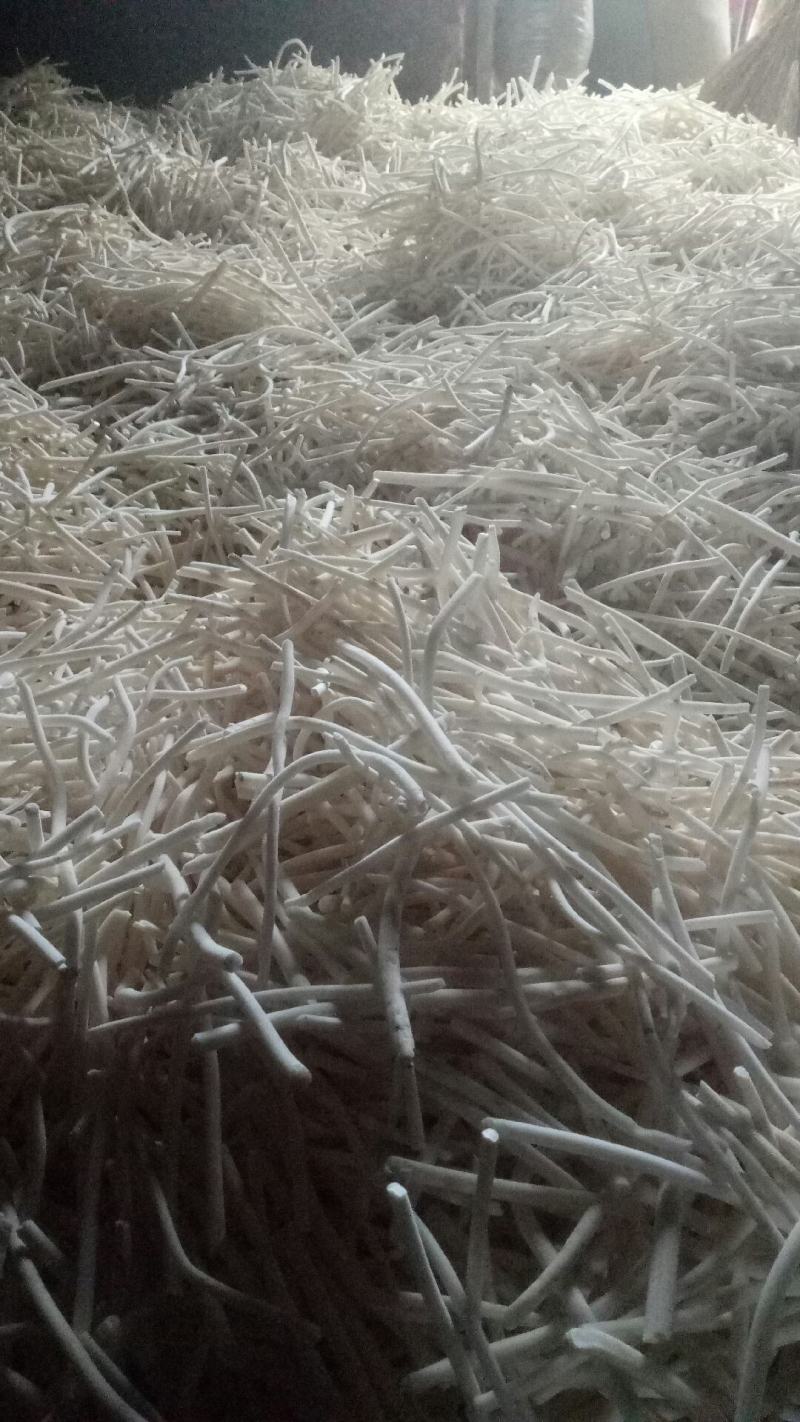 通草白色无杂大量供货中