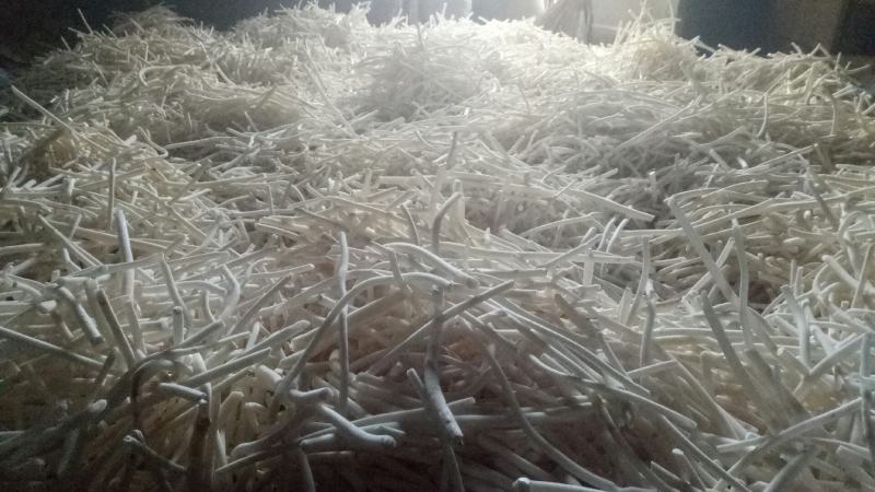 通草白色无杂大量供货中