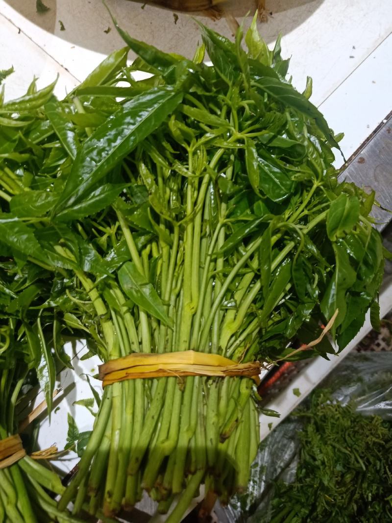 云南普洱特产火镰菜_鲜货