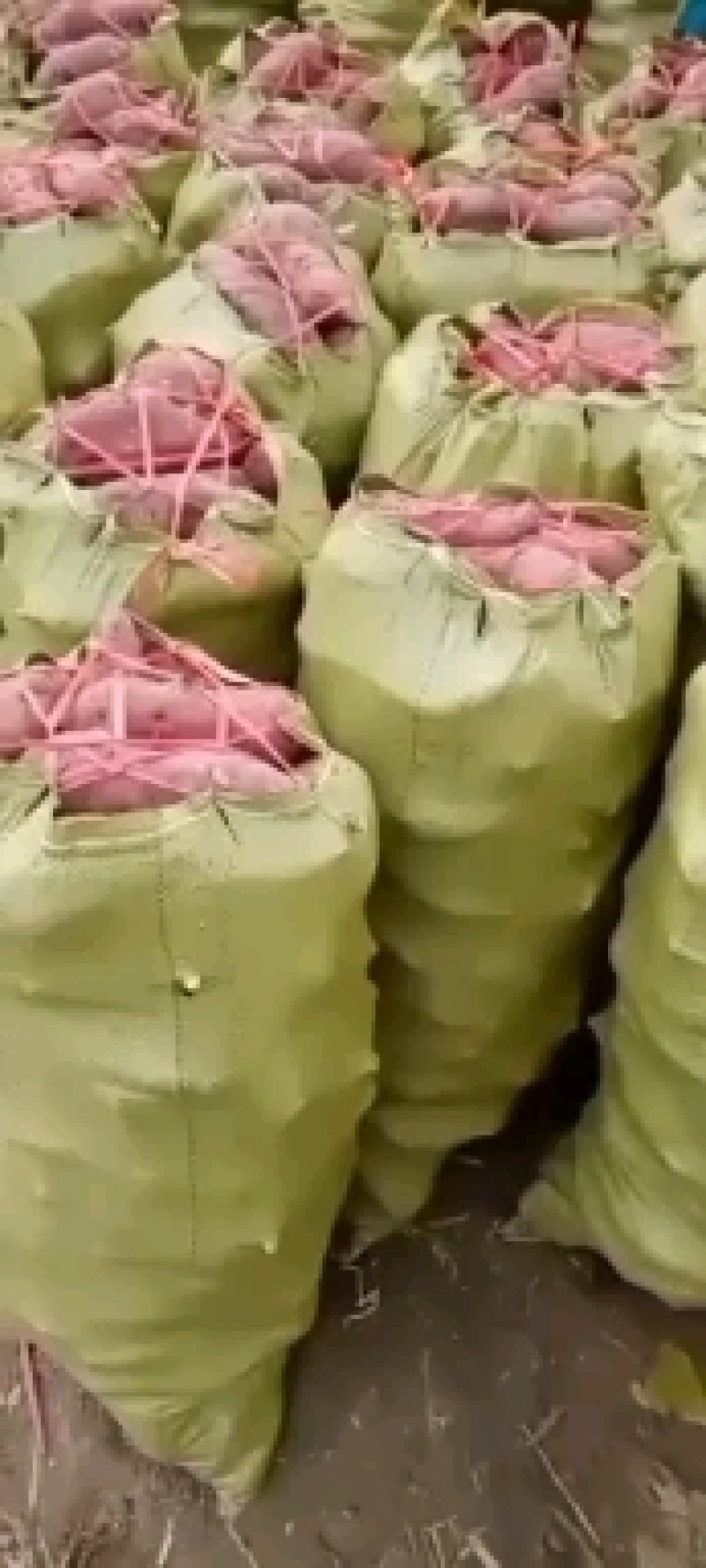 精品西瓜红红薯，产地直供，货源充足，品质保证欢迎采购
