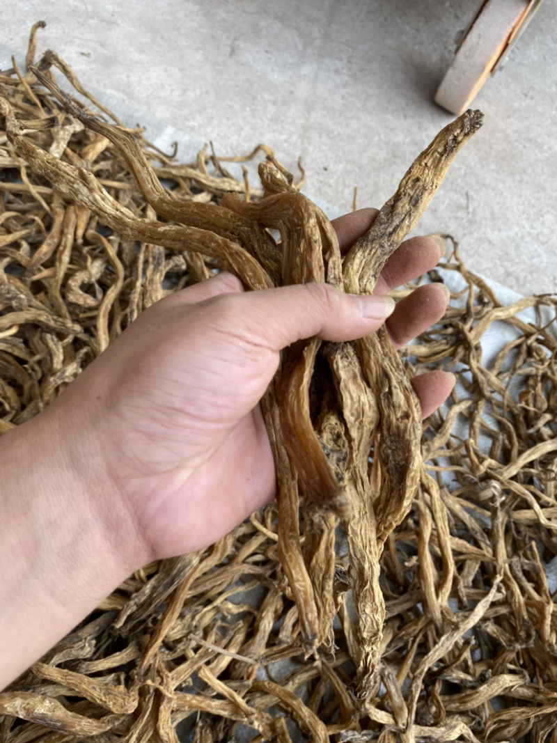 野生无硫中药材百部。
