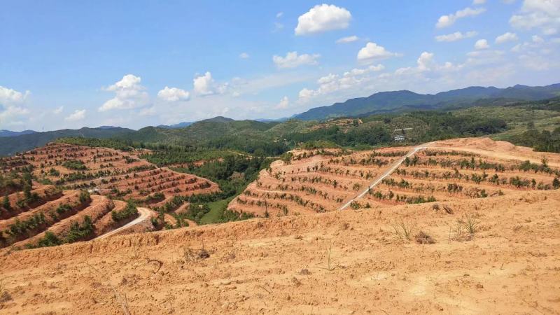 全南县精品山地转让土质很好的山地标准化的