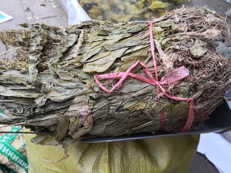 见血清自然生长个子2斤起包邮量大从优