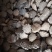 木鳖子广西干货量大从优2斤起包邮