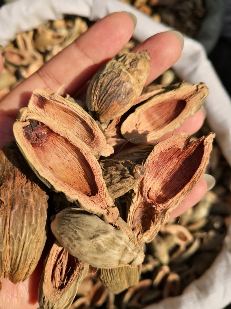 大腹皮海南干货2斤起包邮量大从优