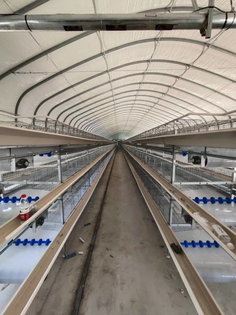 三层小层叠养殖设备，环保，节省人工成本。