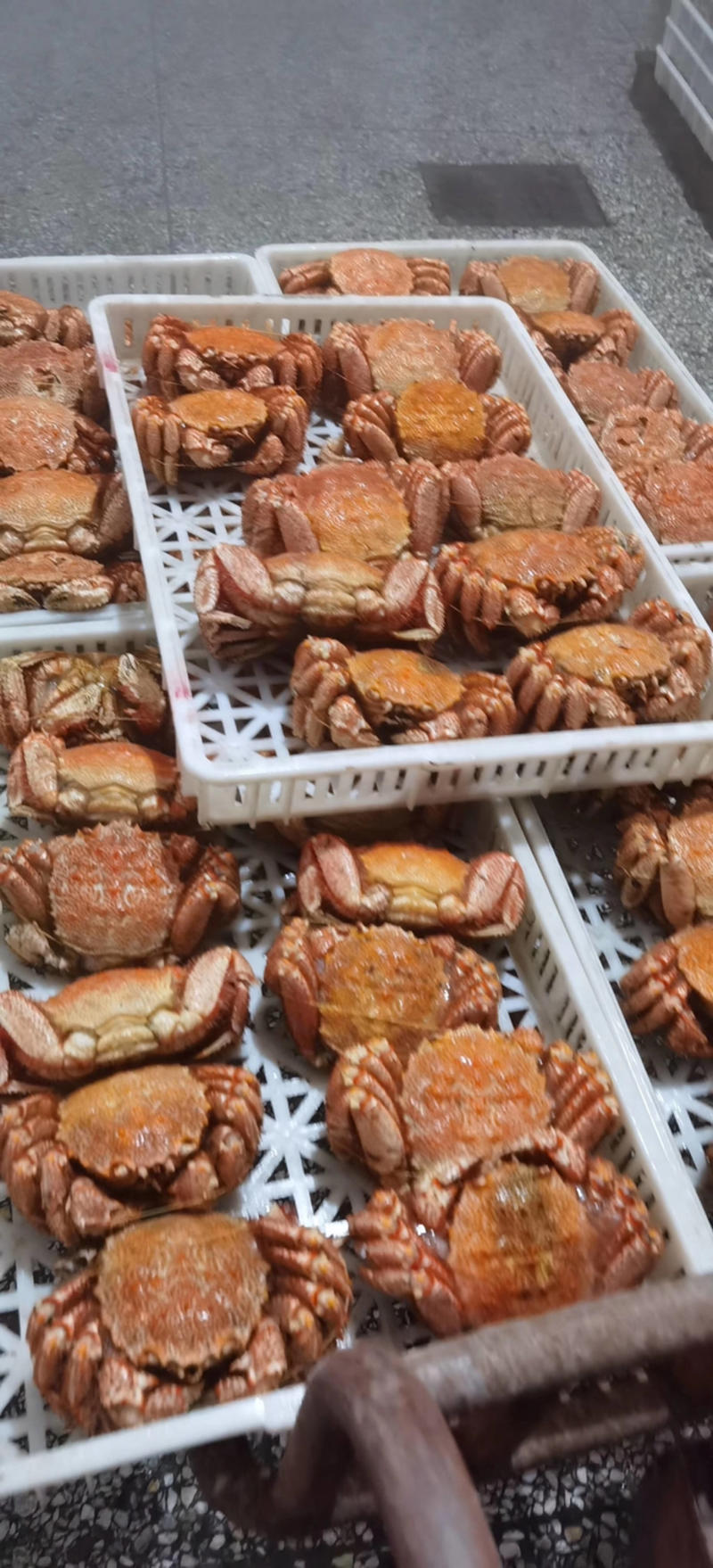 鳕蟹红毛蟹毛蟹料理海螃蟹红毛蟹大闸蟹梭子蟹面包蟹