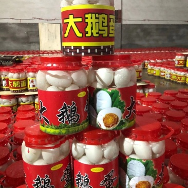 山东大鹅蛋，大鹅蛋，一手货源，欢迎全国各地朋友选购，