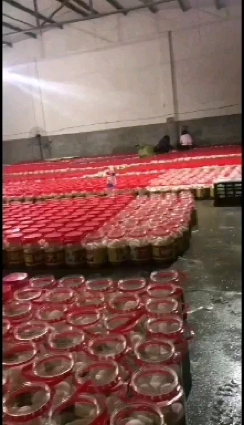 山东大鹅蛋，大鹅蛋，一手货源，欢迎全国各地朋友选购，