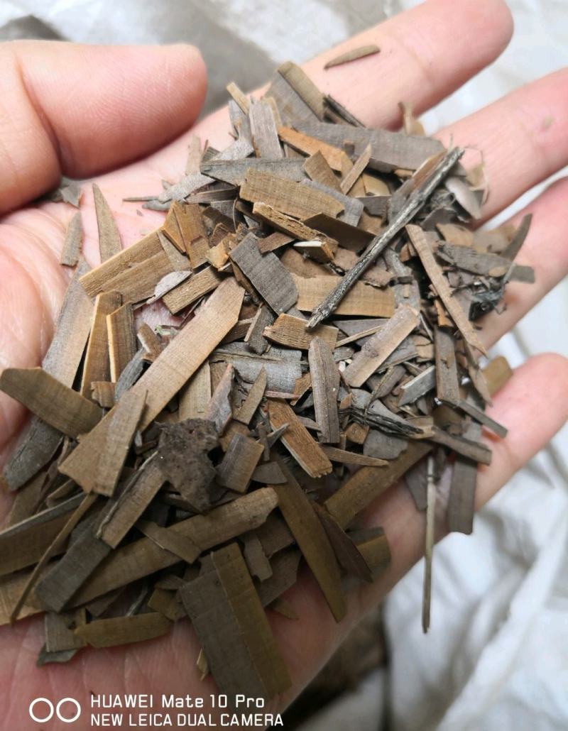 鬼箭羽自然生长量大从优2斤起包邮欢迎选购
