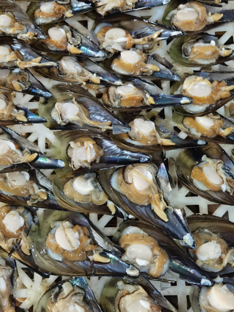 鲜活冷冻半壳带子中号绿贝瑶贝烧烤粉丝带子自助