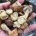 姬松茸药食同源干货量大从优欢迎选购