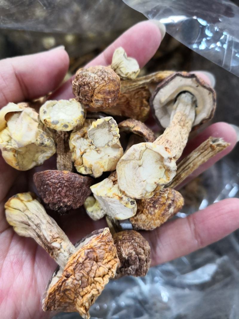 姬松茸药食同源干货量大从优欢迎选购