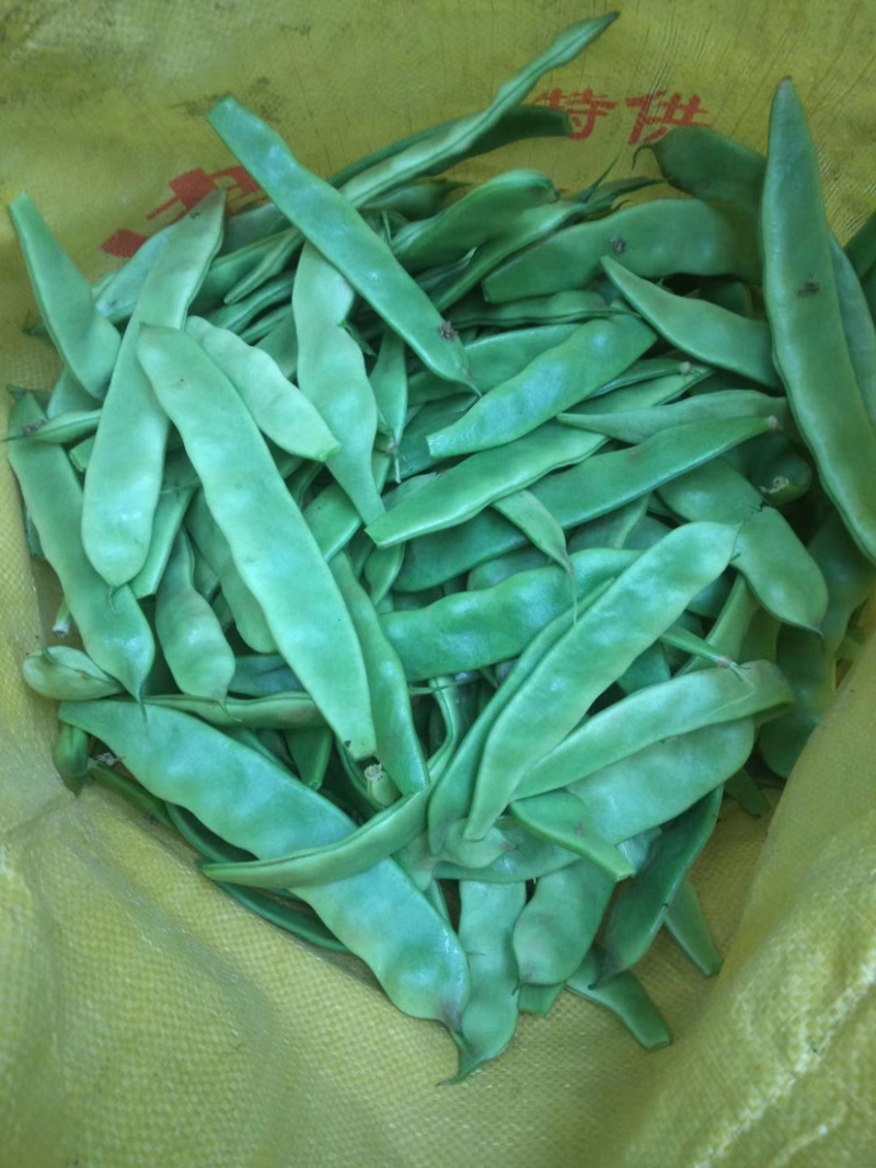 诚信代收各种品质豆角