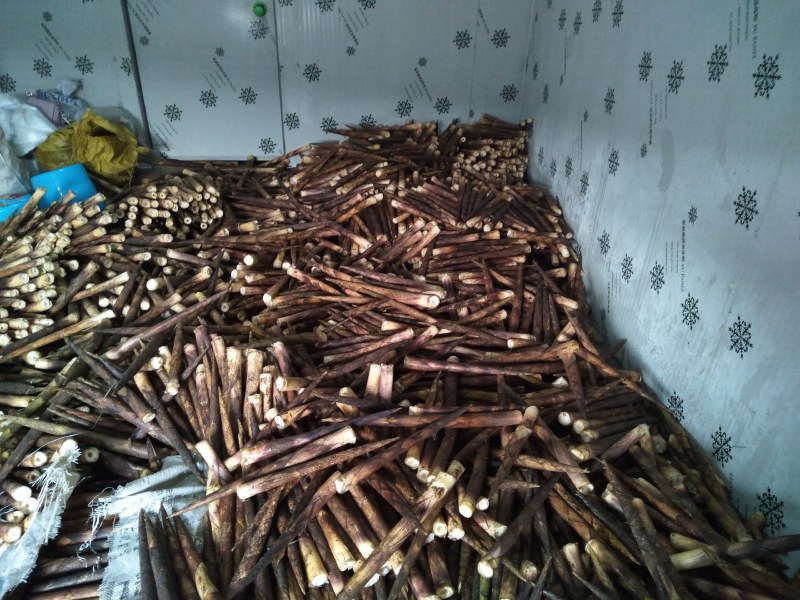 金佛山方竹笋专卖，欢迎采购。