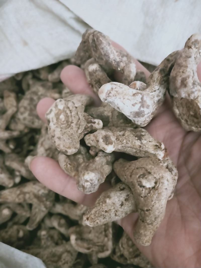 云南白芨三叉白芨正品白芨白芨片白芨粉旱白芨云南白芨