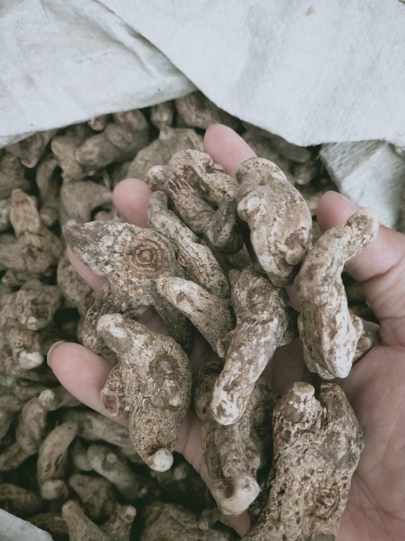 云南白芨三叉白芨正品白芨白芨片白芨粉旱白芨云南白芨