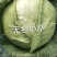 京丰一号，奥奇娜，内配，扁包花白。需要的联系