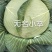 京丰一号，奥奇娜，内配，扁包花白。需要的联系