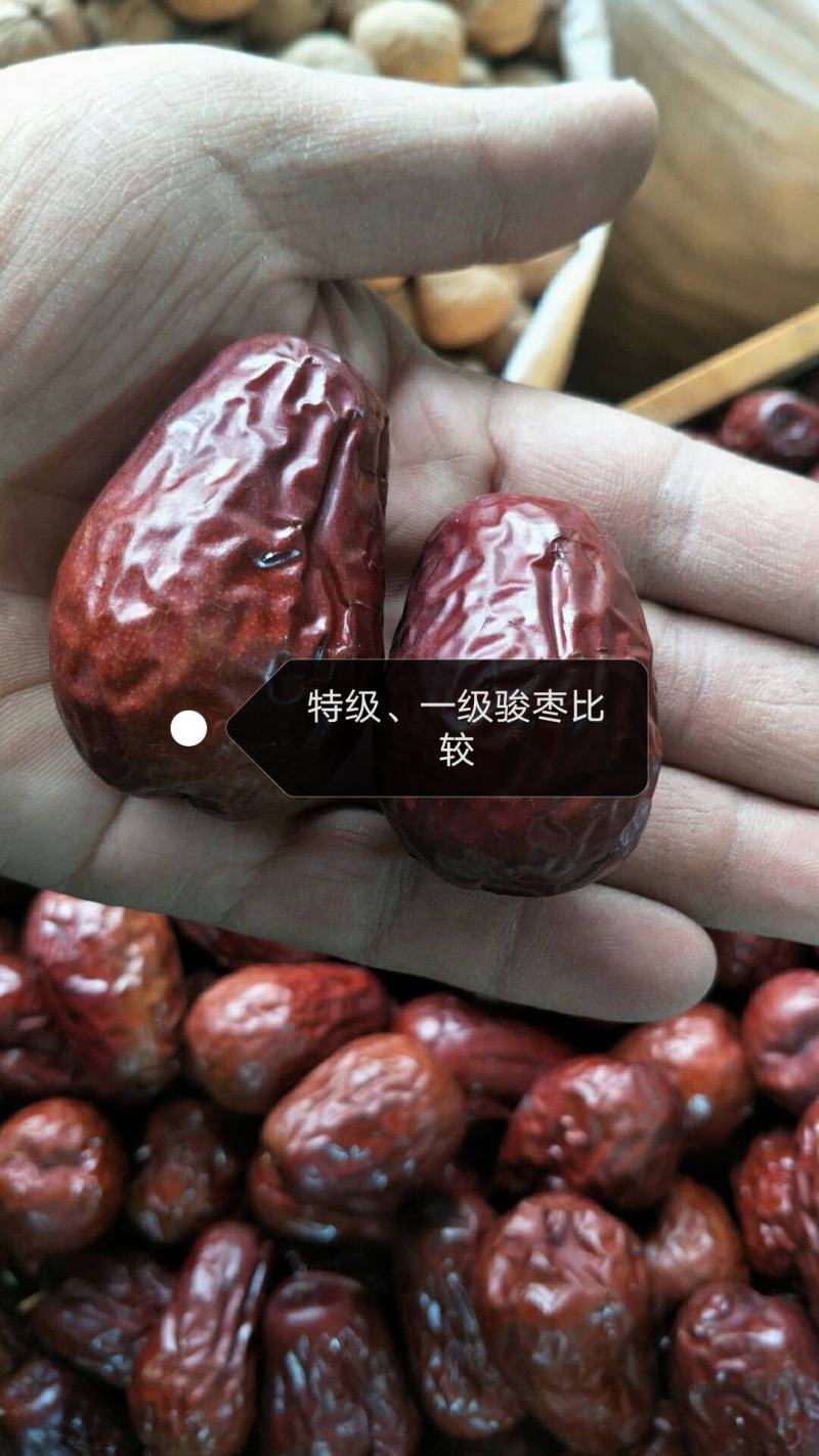 新疆自家种植骏枣，大枣，果实饱满，口感香脆