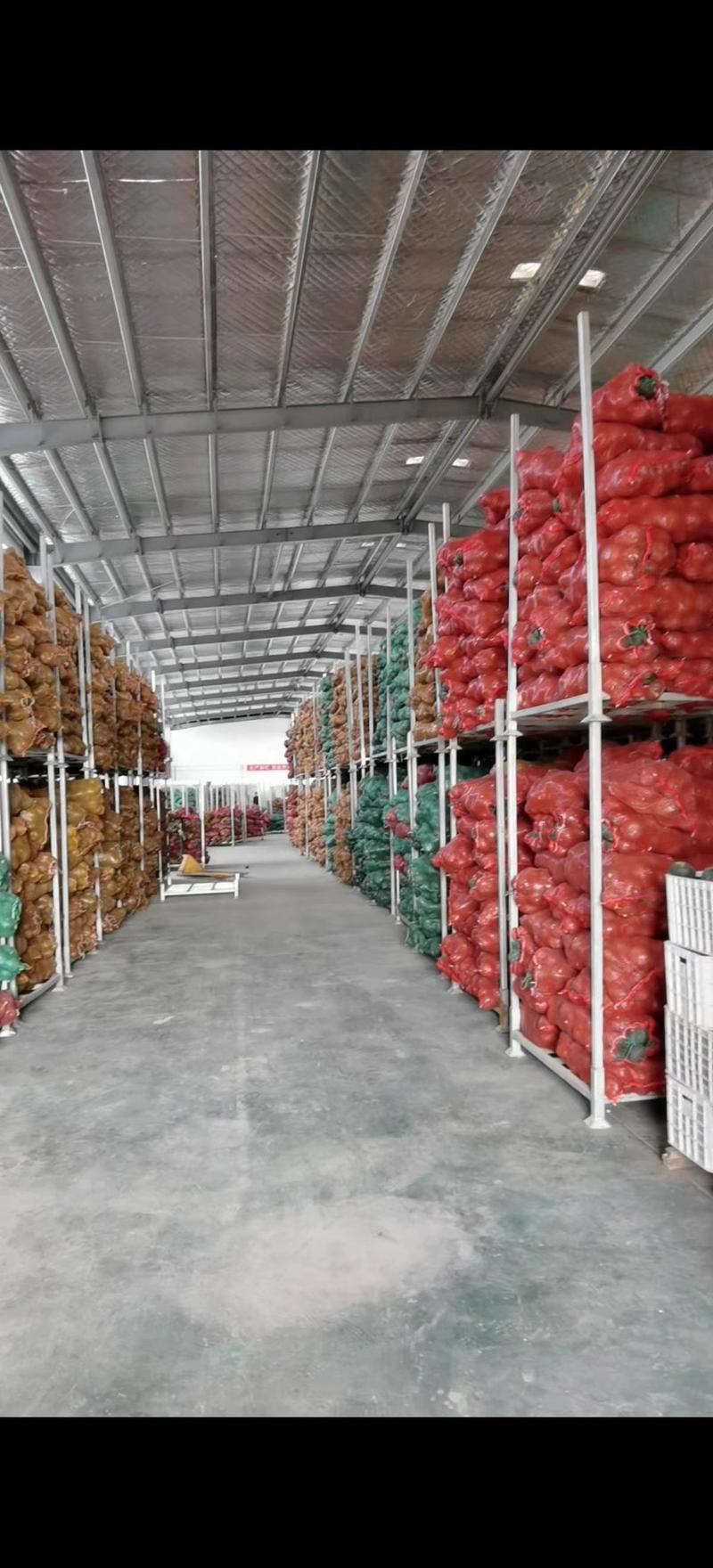 现有400吨内蒙古贝贝南瓜，品质好，规格单瓜0.6-1.