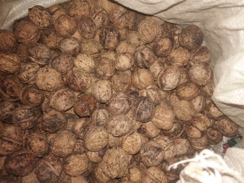 贵州新鲜核桃，薄皮核桃，干核桃，现打现笠的壳
