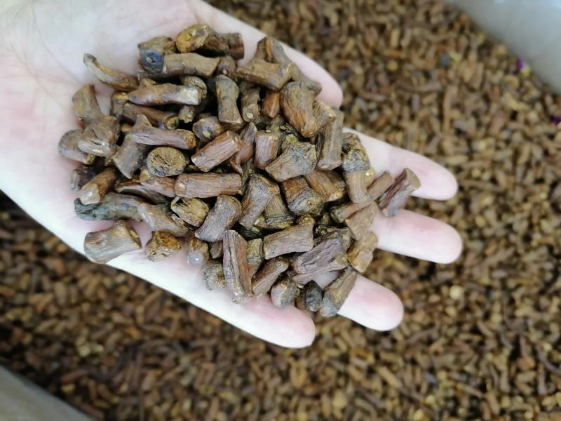 蒲公英根烘焙货熟蒲公英根各种规格中药材批发